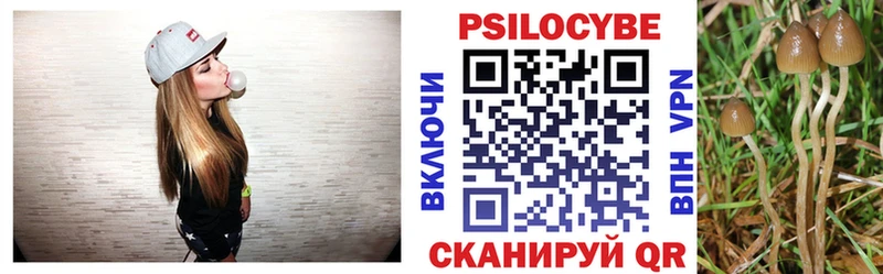 Псилоцибиновые грибы Psilocybine cubensis  Шарыпово 